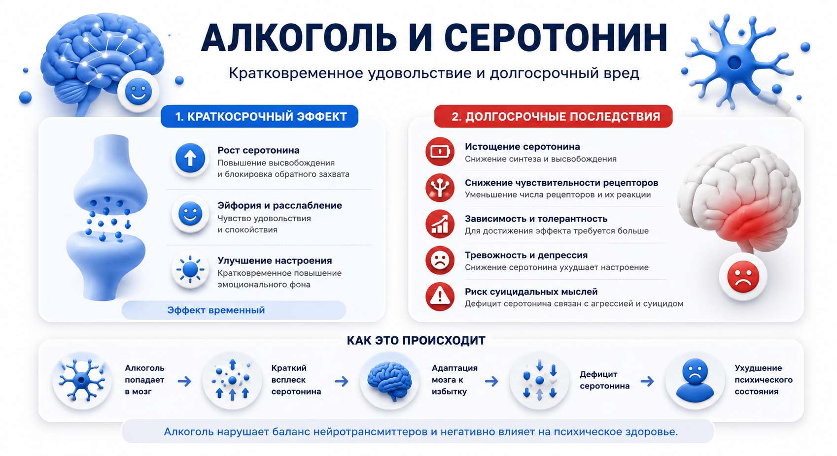 Инфографика на тему влияния алкоголя на серотонин